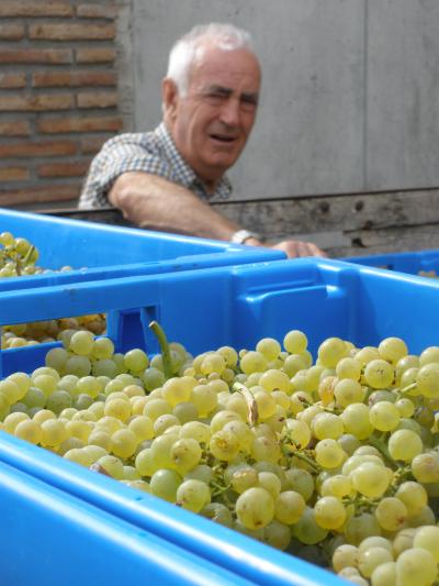 bodegas lezaun